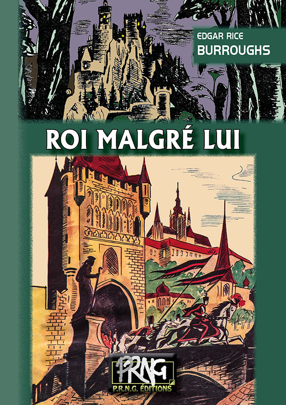 Roi malgré lui {Livre numérique}