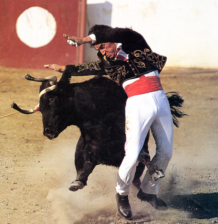 Sports régionaux