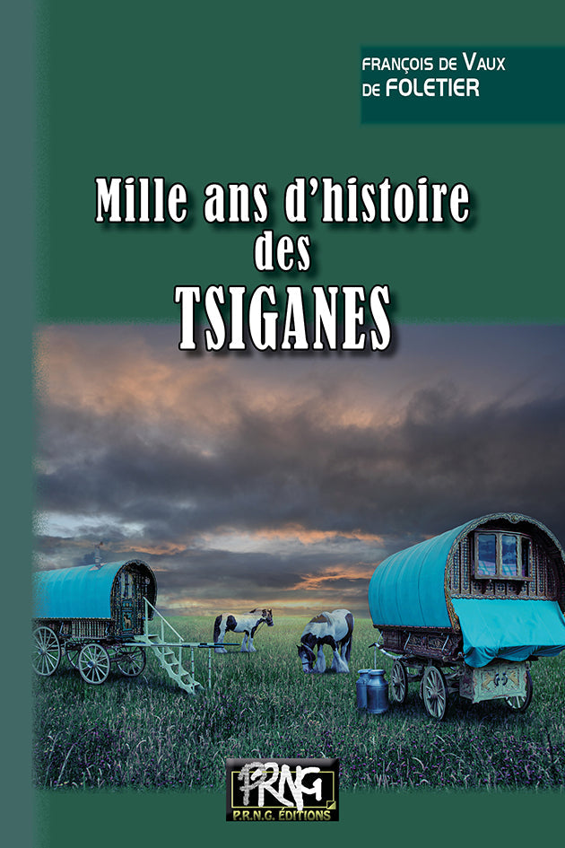 Mille ans d'histoire des Tsiganes {livre numérique}