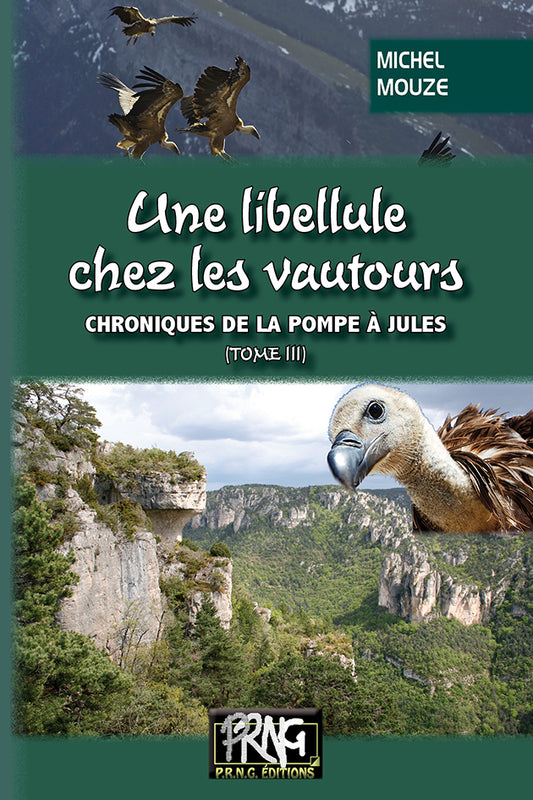 Une libellule chez les Vautours (chroniques de la Pompe à Jules, T3)